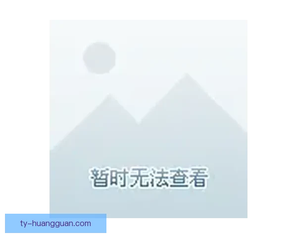 全面解析体育竞猜平台优势与风险 带你了解如何精准投注提升胜率