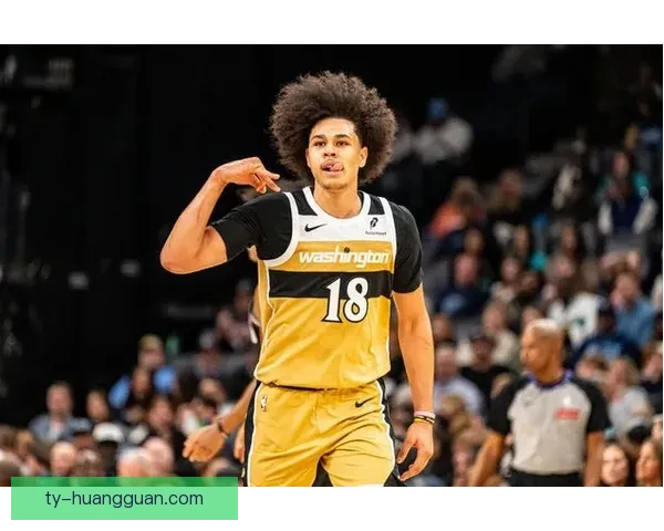 奇才官方确认乔治左肘韧带撕裂本赛季将无缘比赛